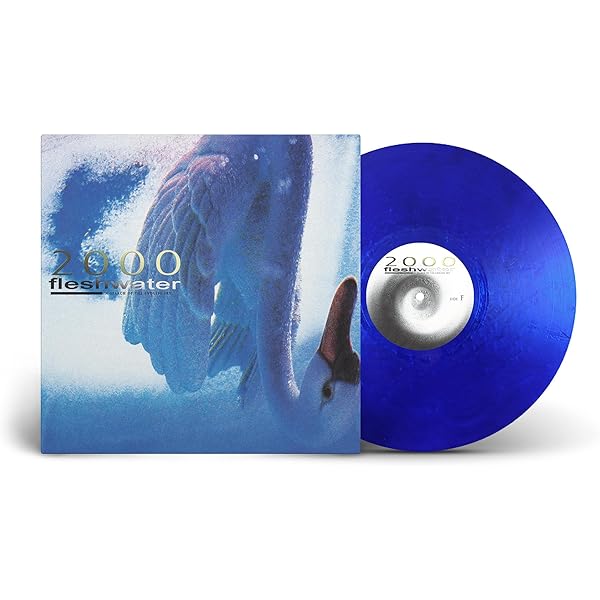 レコード17枚　【年代物】 Amazon.co.jp: 2000: In Search Of The Endless Sky (Metallic Blue