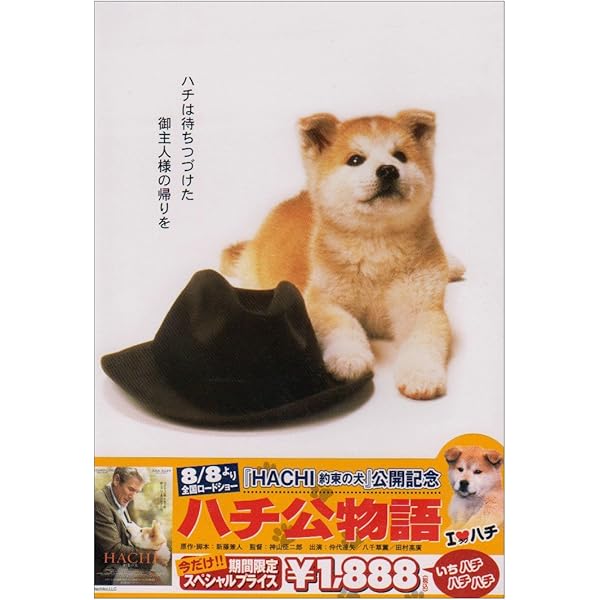 トゥー・ブラザーズ 映画フライヤー ジャン=ジャック・アノー ガイ・ピアース Amazon.co.jp: トゥー・ブラザーズ スタンダード・エディション