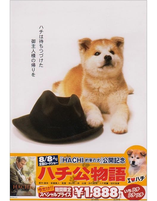 南極物語DVDと当時のパンフレット 南極物語DVDと当時のパンフレット