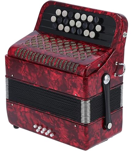 Amazon | Roland ローランド アコーディオン FR-1X RD レッド