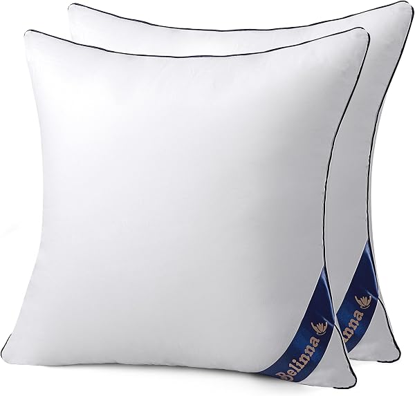 Belinna クッション中身 45x45cm*2(他のサイズもある)厚い 潰れない 二個セット cushion 背もたれ ソファークッション ヌードクッション 丸洗い可能 抱き枕 - 1