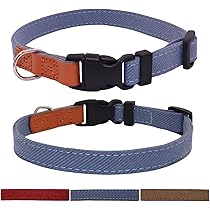 71JXB9Oi5mL._AC_UL210_SR210,