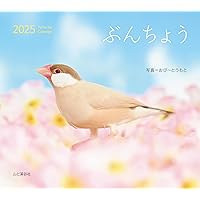 BIRDER（バーダー）2024年8月号 ブンチョウ | BIRDER編集部 |本 | 通販
