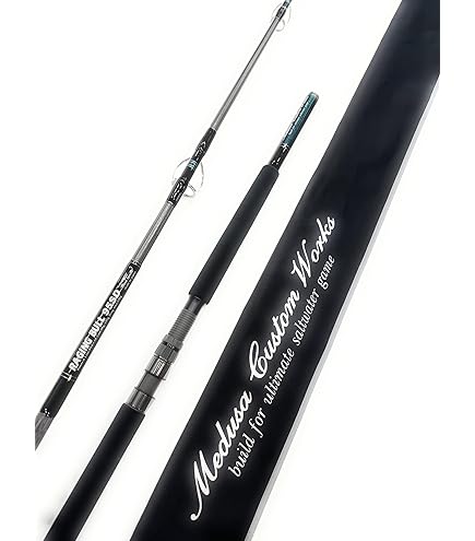 Amazon | MC works/MCワークス SLOW HAND SH815PD