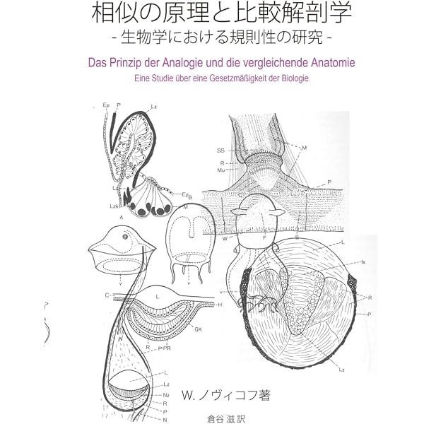 Amazon.co.jp: 新版 動物進化形態学 (Natural History) : 倉谷 滋: 本