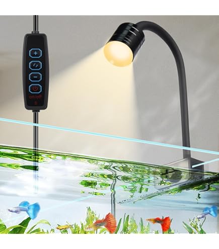 Can You Use a Desk Lamp for an Aquarium: Expert Tips Revealed