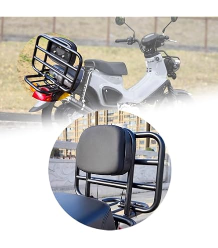 Amazon | スペシャルパーツ武川(TAKEGAWA) バックレストキット