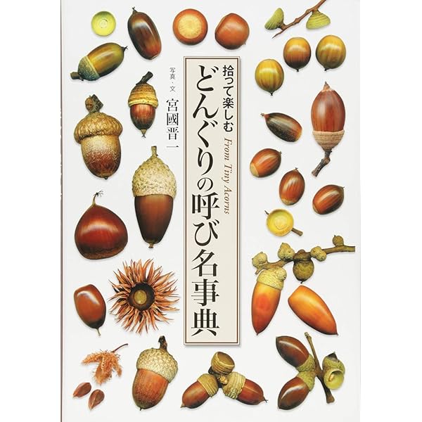 どんぐりの呼び名事典 拾って楽しむ | 宮国 晋一 |本 | 通販 | Amazon