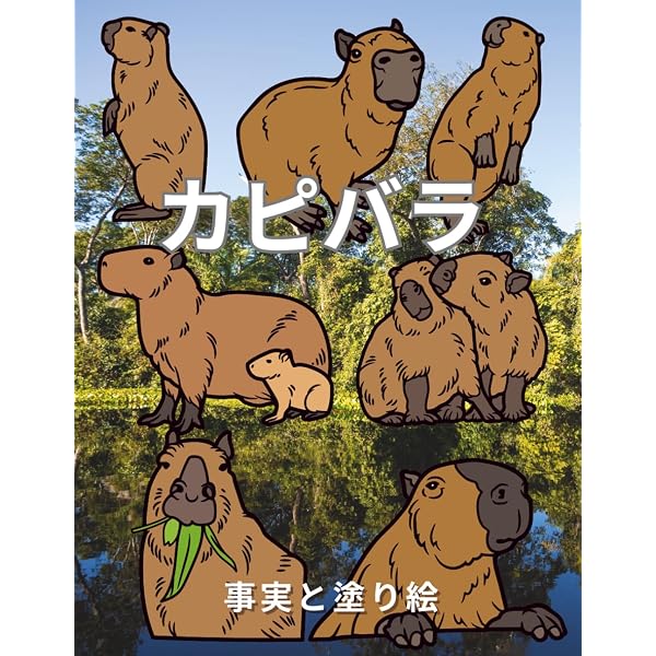 カピバラさんのまいにち | チダ ケイコ, TRYWORKS |本 | 通販 | Amazon
