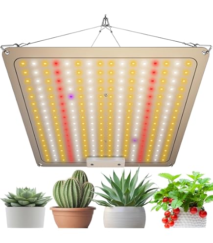 Amazon | JagKey 植物育成ライト LED光合成ライト 室内栽培照明用 240W