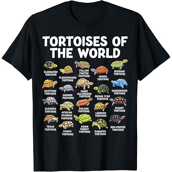 レア　希少　カメレオンズ　the chameleons Tシャツ Lサイズ 黒 レア 希少 カメレオンズ the chameleons Tシャツ Lサイズ 黒