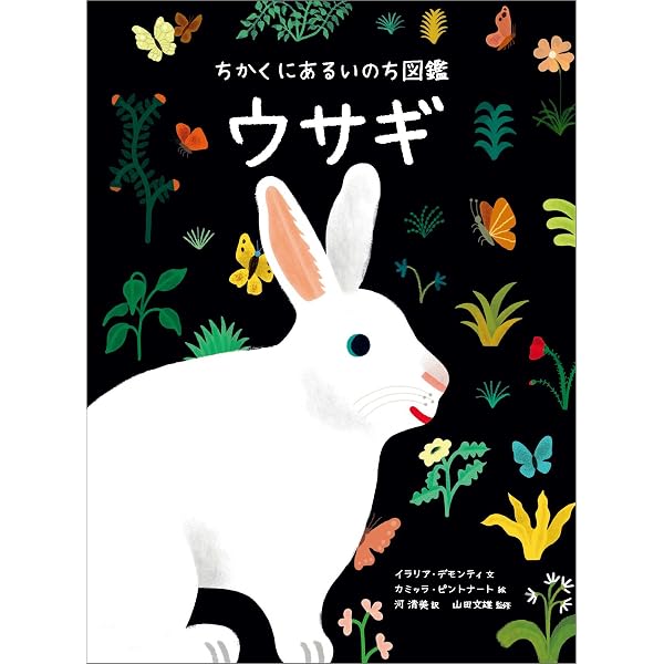 Amazon.co.jp: 新 うさぎの品種大図鑑 : 町田 修: Japanese Books