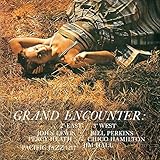 �O�����h�E�G���J�E���^�[