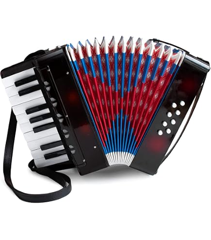 Accordéon Piano Enfant CB SKY 10 Touches Rouge - Instrument Musique Pour Enfants