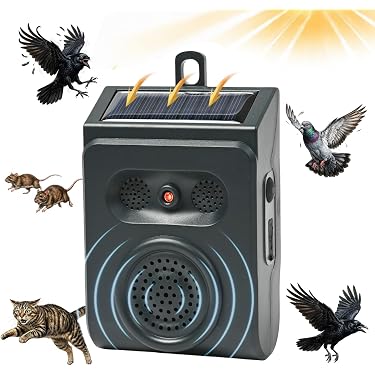 Amazon.co.jp 最新リリース: 動物撃退器 の新着ランキングです。