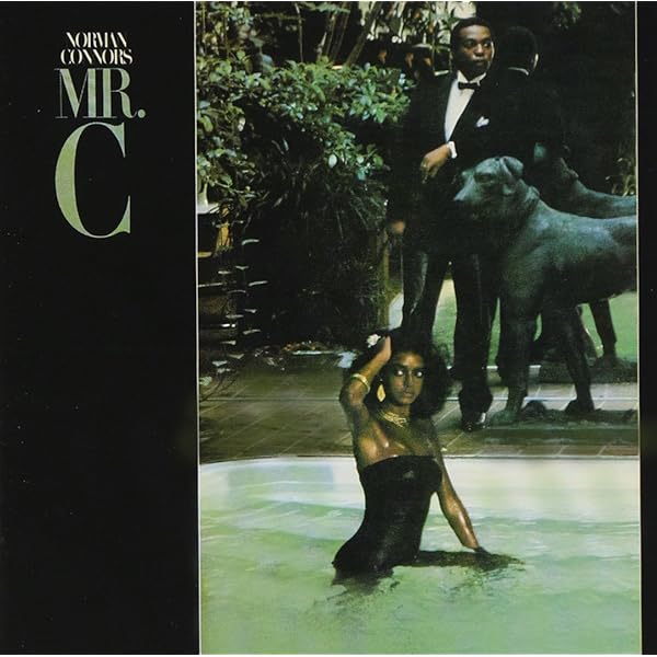 NORMAN CONNORS／you are my starship♪希少盤 You Are My Starship - Album by Norman Connors | Spotify