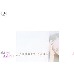 Amazon.co.jp: POCKET PARK(LP カラー盤) - 松原みき [Analog