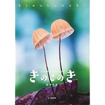 きのこのき きになるきのこのきほんのほん | 新井 文彦 |本 | 通販