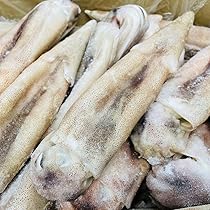 釣りたて　冷凍アオリイカ　４杯　約4キロ Yahoo!オークション - 長崎県産 アオリイカ 冷凍 4杯 約3190g イカ