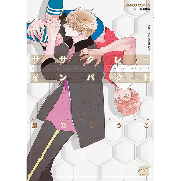 BOY'Sピアス禁断　12冊セット BOY'Sピアス禁断 12冊セット BOY'Sピアス禁断 12冊セット Amazon