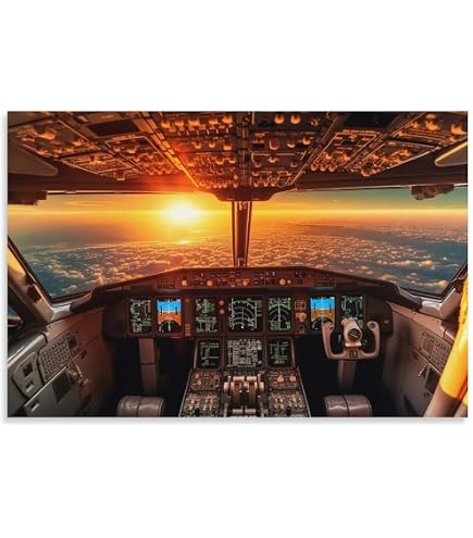 Amazon.co.jp: 民間航空機 ジェット機 飛行機 コックピット ディテール