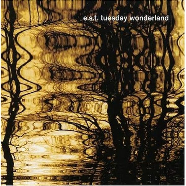 Amazon.co.jp: ライヴ・イン・イェーテボリ (e.s.t. live in