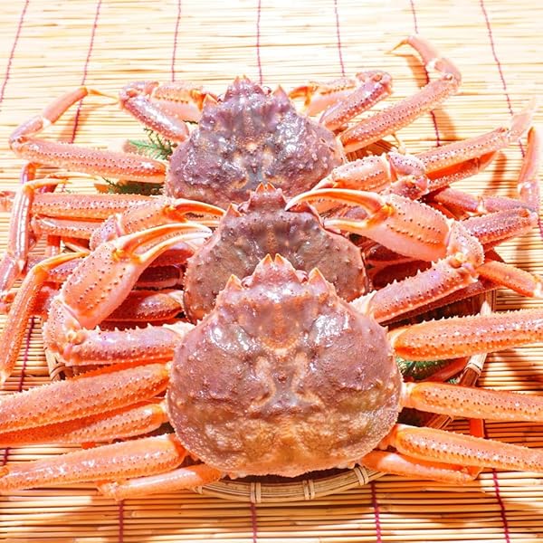 Amazon | オオズワイガニ メス 活 訳あり 北海道産 2kg（約4−12