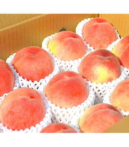 最高級白桃1箱4玉入り 桃 白桃 もも 果物 糖度 特秀 大玉 贈答用 御中元 Amazon.co.jp: 【糖度:16度の別世界】プライム Special 極上お中元 秀