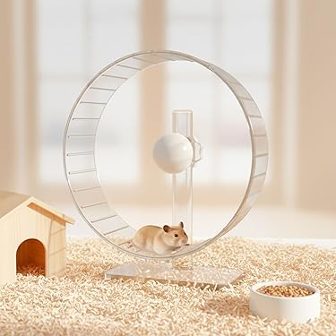 Amazon.co.jp 売れ筋ランキング: 小動物用回し車 の中で最も人気のある