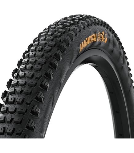 Amazon | Panaracer(パナレーサー) DRIVER PRO(ドライバープロ) TLC