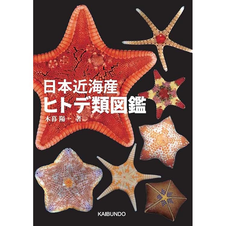 イカタコ35号 2523-001a.jpg