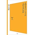 なぜモチベーションが上がらないのか (SB新書)