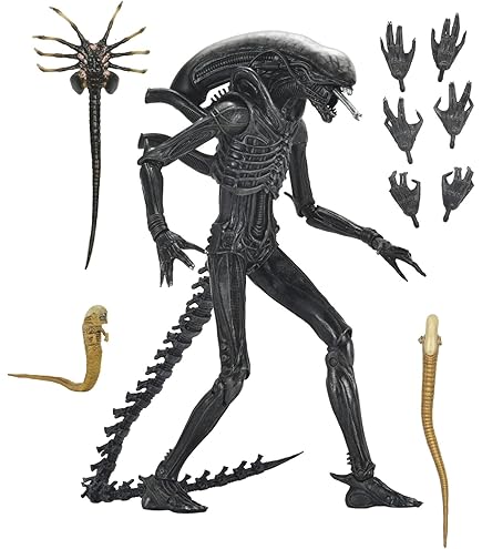 Amazon.co.jp: NECA ネカ エイリアン Xenomorph ゼノモーフ ウォーリア