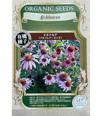 Amazon.co.jp: Seeds: Echinacea [0846] : DIY, Tools & Garden