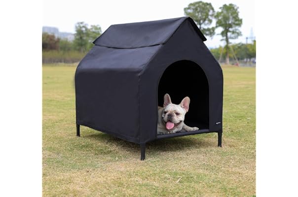 small dog kennel amazon