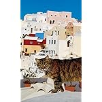 猫 FVGA(480×800)壁紙 2022岩合光昭 世界の猫 猫 FVGA(480×800)壁紙 2022岩合光昭 世界の猫