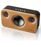 Amazon.co.jp: 【天然の竹製・音質さらに進化】 Earaku(イアラク