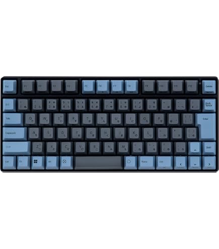 Amazon.co.jp: REALFORCE R4キーボード 対応 カラーキーキャップ