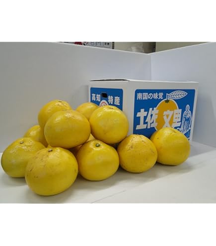 Amazon.co.jp: 【中玉サイズ】【ご家庭用】高知特産 土佐文旦 2L～L