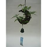 Amazon Co Jp 納涼 吊りしのぶ 風鈴付 Bonsai ホーム キッチン