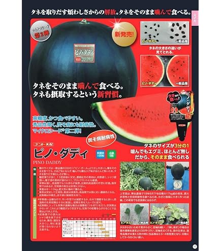 Amazon.co.jp: ※新種12月以降入荷予定〈小袋〉大玉スイカ種 【 3X