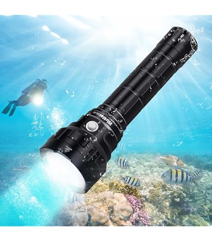 Amazon.co.jp: [ INON ] イノン LE600h-S LED 水中スポットライト