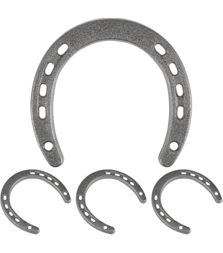 Amazon.co.jp: HOLIDYOYO 4個ヴィンテージ鉄製点馬蹄壁掛け飾り 屋内