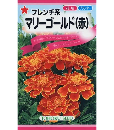 Amazon.co.jp: 花種子 フレンチマリーゴールド ボナンザディープ