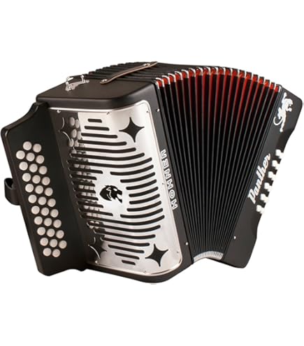 Hohner Black 48 アコーディオン Amazon | Hohner 3100GB Panther Diatonic Button Accordion in Black