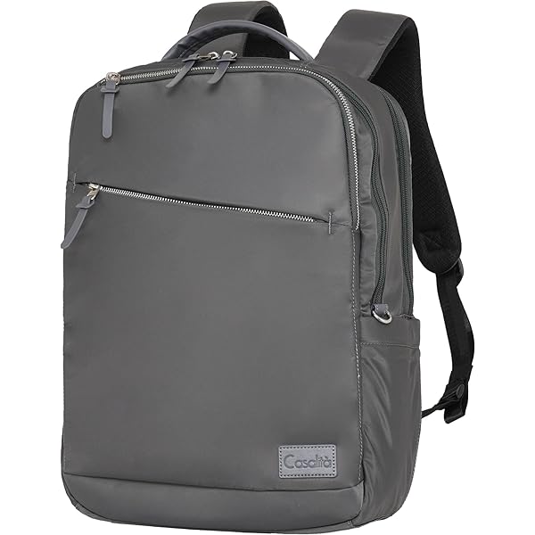 Amazon.co.jp: Casalità CL-4970 A4 15.6 Inch Laptop Storage