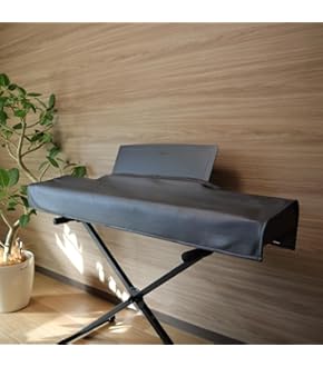 CASIOカシオ SP-33純正 3本ペダルユニットのみ 41Yj6rehu3L._AC_UL210_SR210,