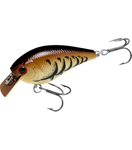 Amazon.co.jp: ペイフォワード モルティー キキョウ : スポーツ
