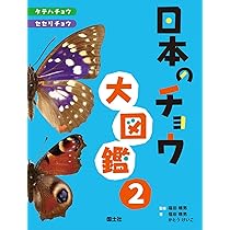 71Khm95Bb8L._AC_UL210_SR210,