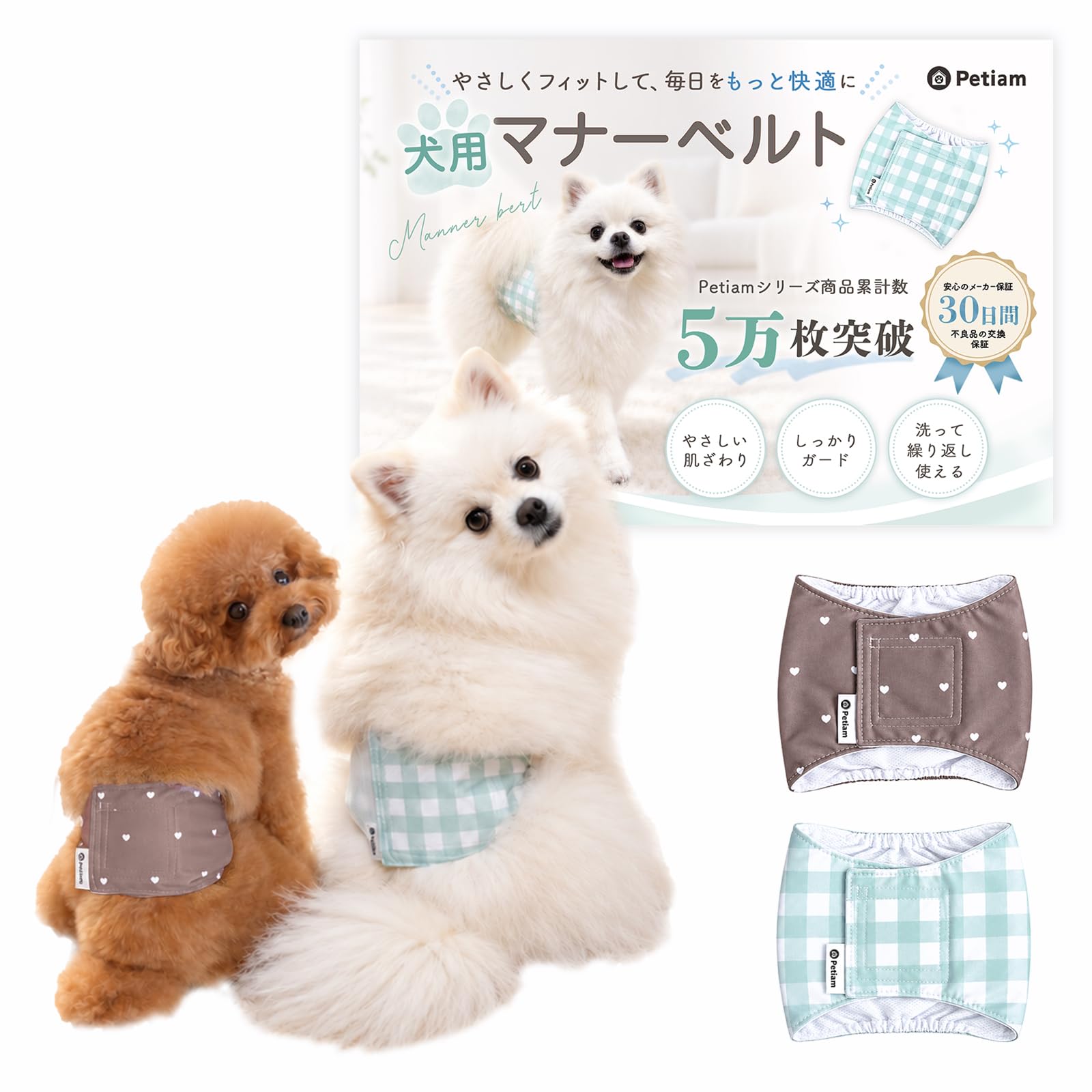 (シリーズ累計5万個突破) Petiam マナーベルト 犬 男の子 おむつカバー 3層構造 小型犬専用 (ミントグリーン×ハートブラウン, M) | やさしい肌ざわり おしゃれな3つのデザイン